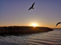 Juyan Lake Basin sunrise Royalty Free Stock Photo